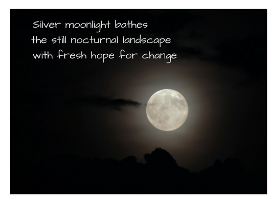Silver moonlight baths
