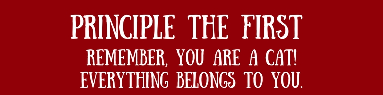 Principle the First (1)