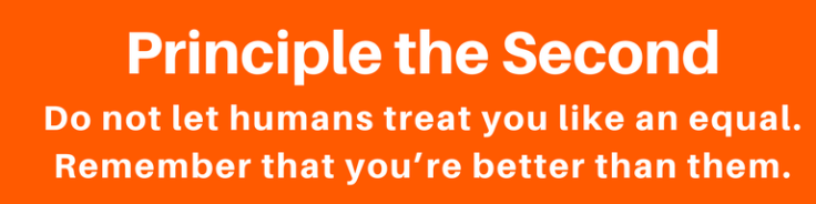 Principle the Second