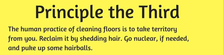 Principle the Third (1)