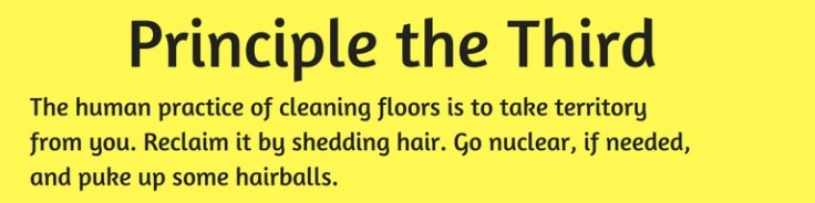 Principle the Third (1)