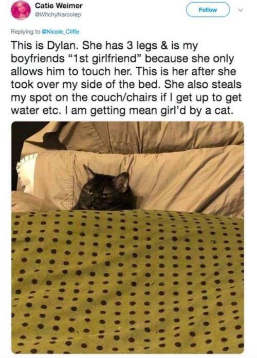 74594353_10157182899617499_1157515848303247360_n